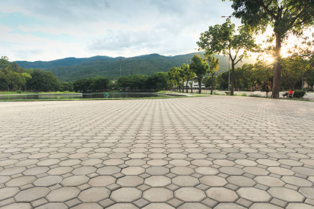 Professional Driveway Pavers in Palmetto, GA